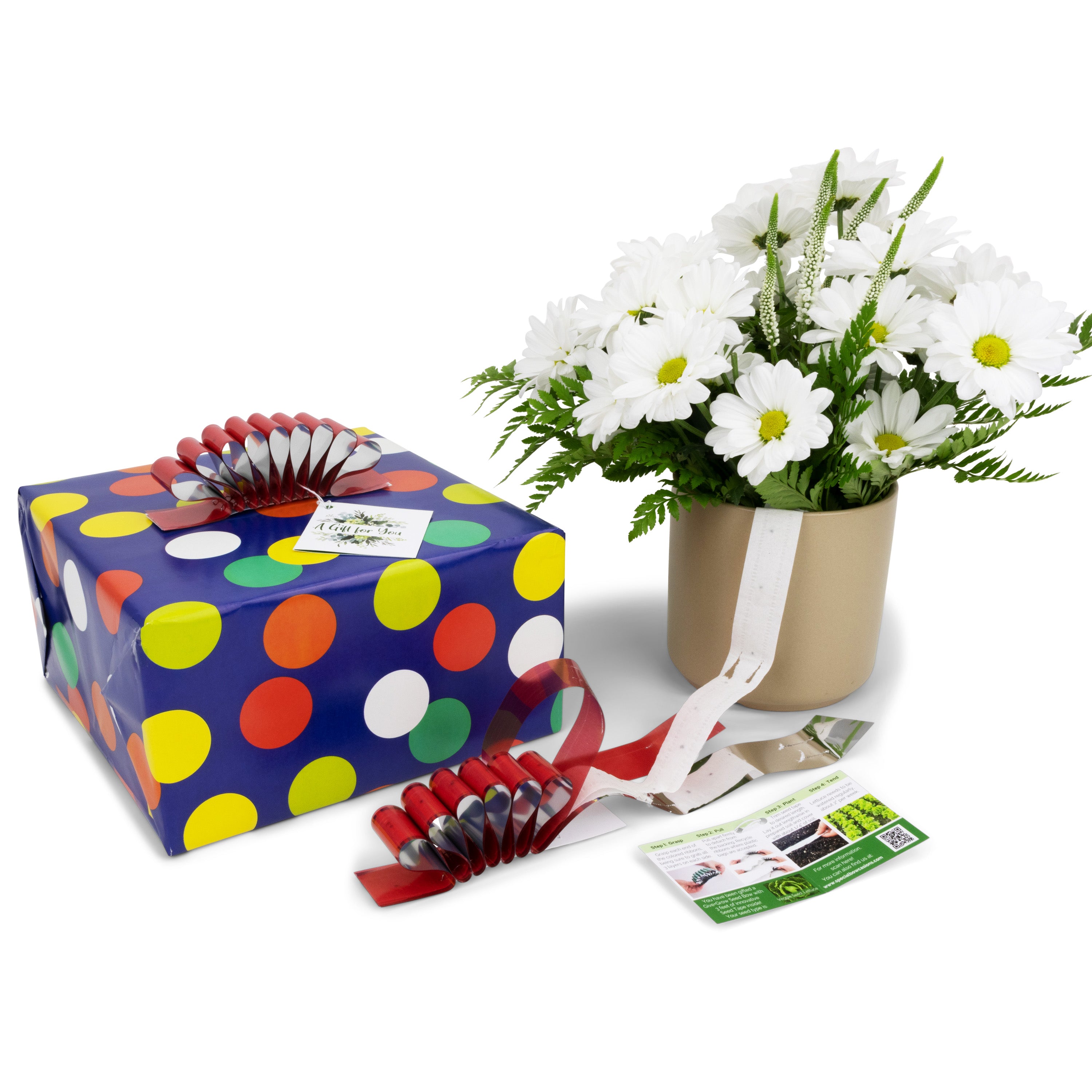 Give+Grow Plantable Wave Gift Bow (one bow)