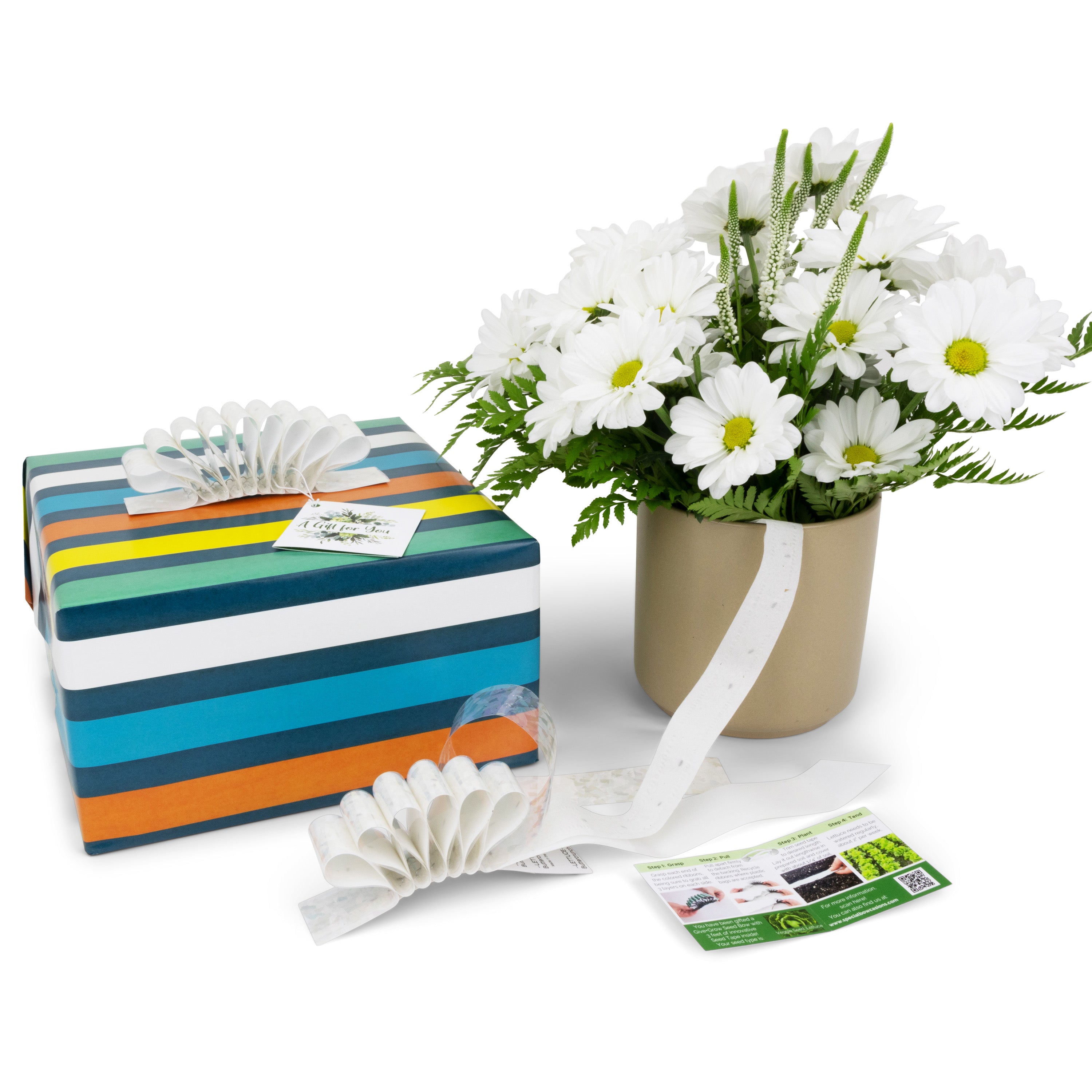 Give+Grow Plantable Wave Gift Bow (one bow)