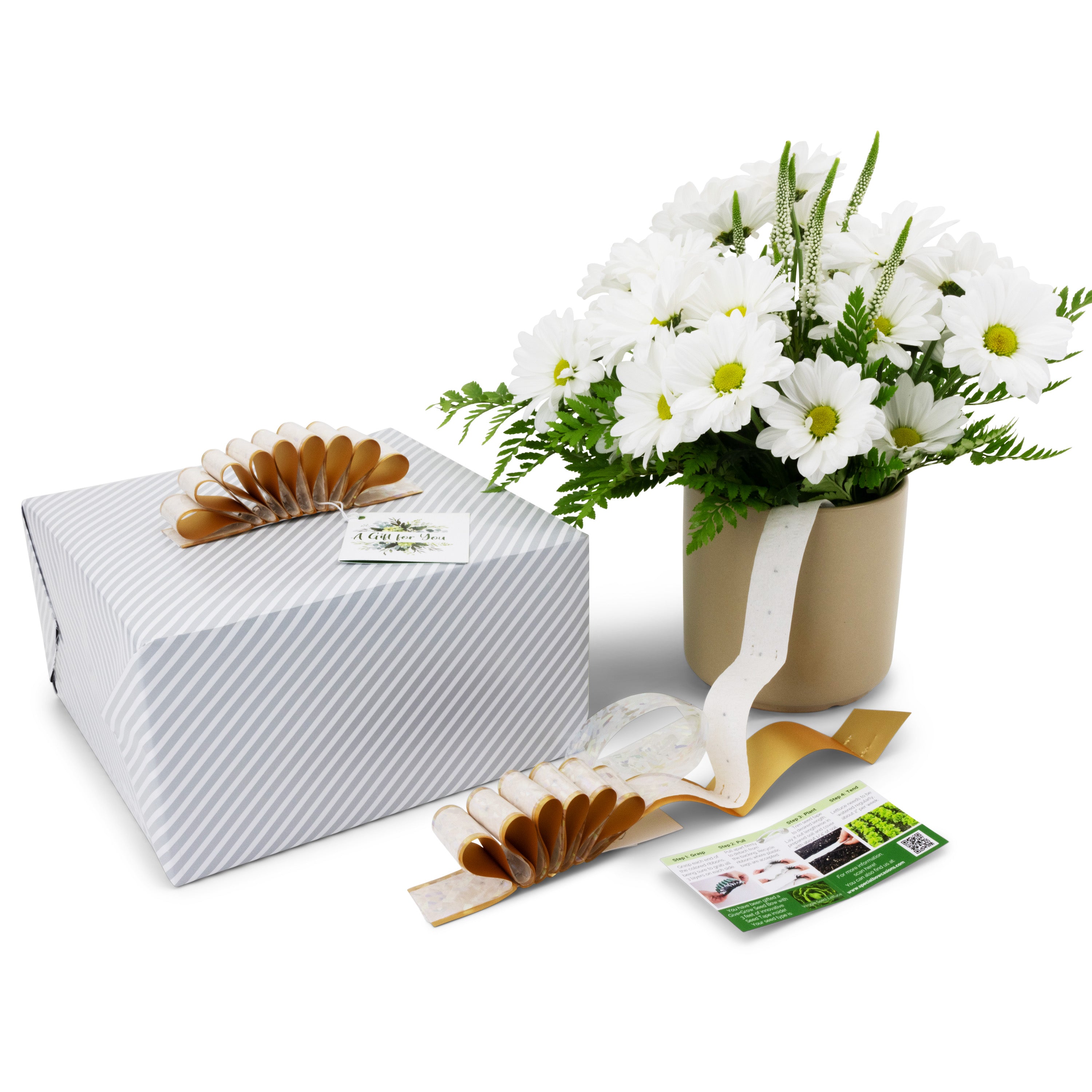 Give+Grow Plantable Wave Gift Bow (one bow)