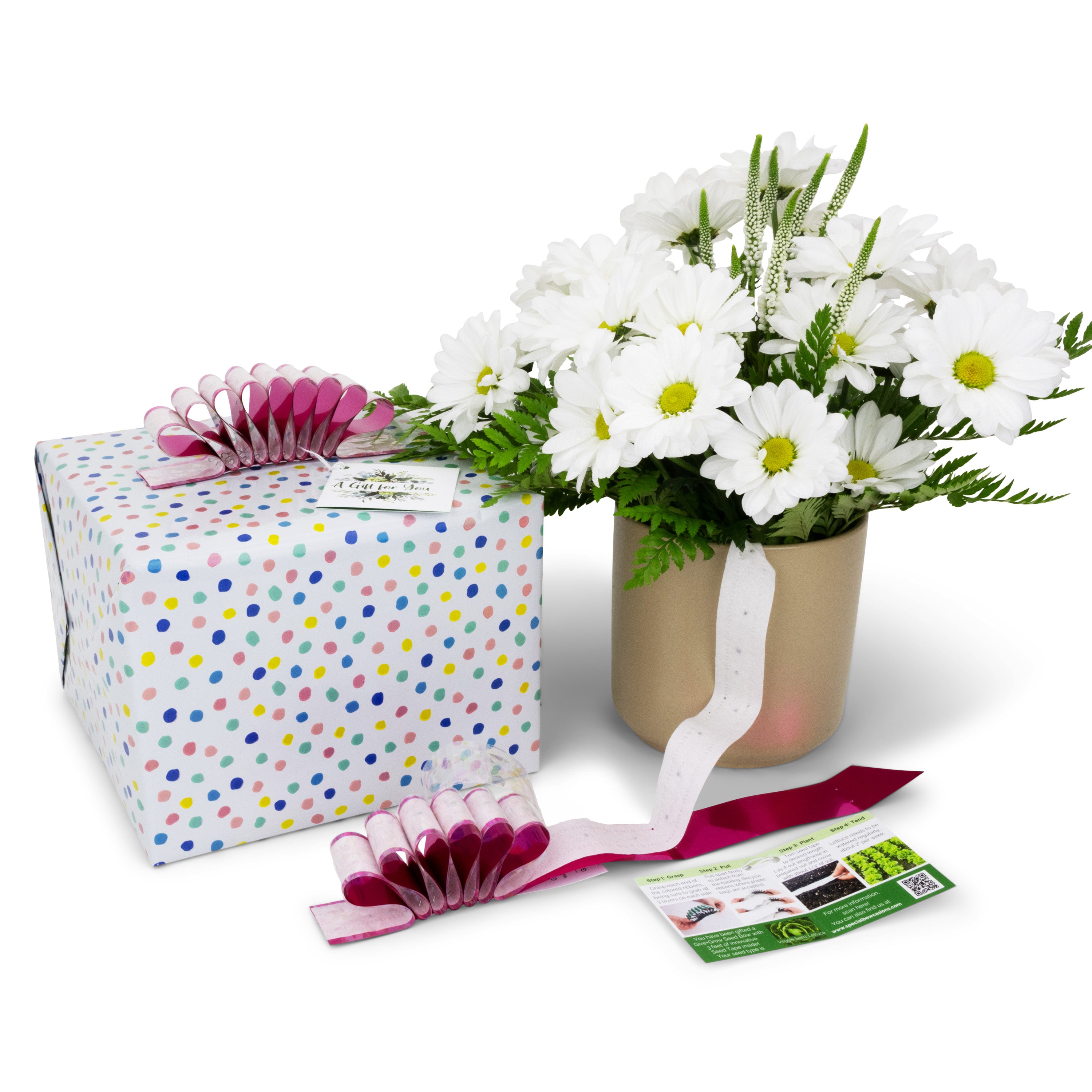 Give+Grow Plantable Wave Gift Bow (one bow)