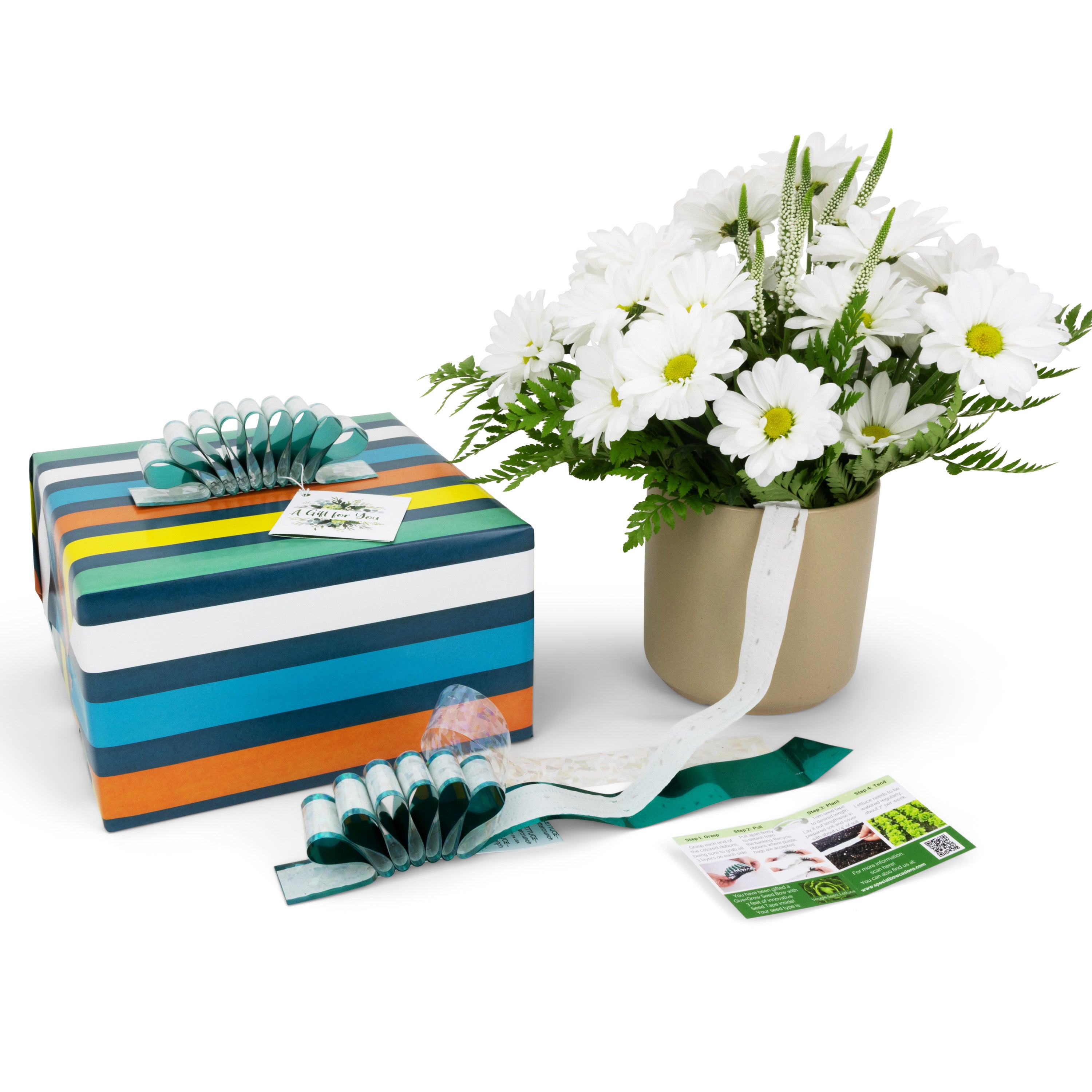 Give+Grow Plantable Wave Gift Bow (one bow)