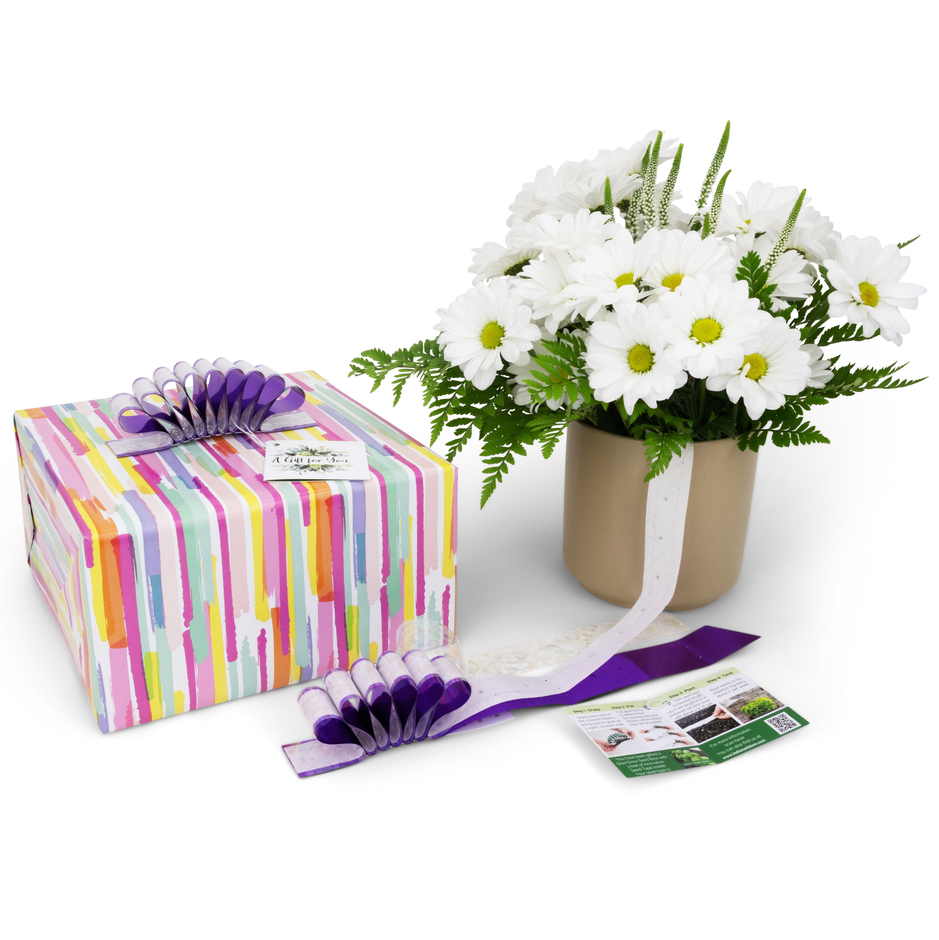 Give+Grow Plantable Wave Gift Bow (one bow)