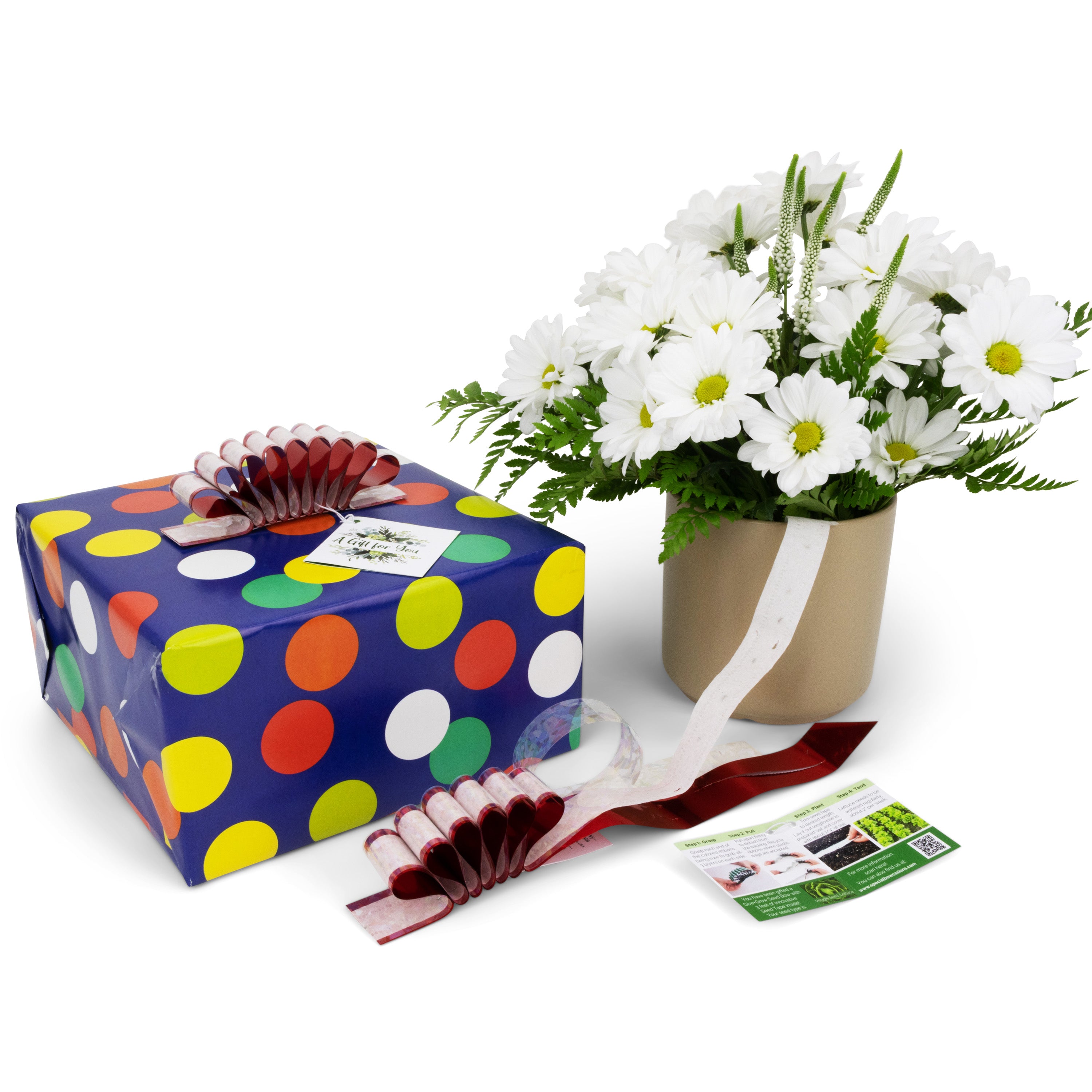 Give+Grow Plantable Wave Gift Bow (one bow)