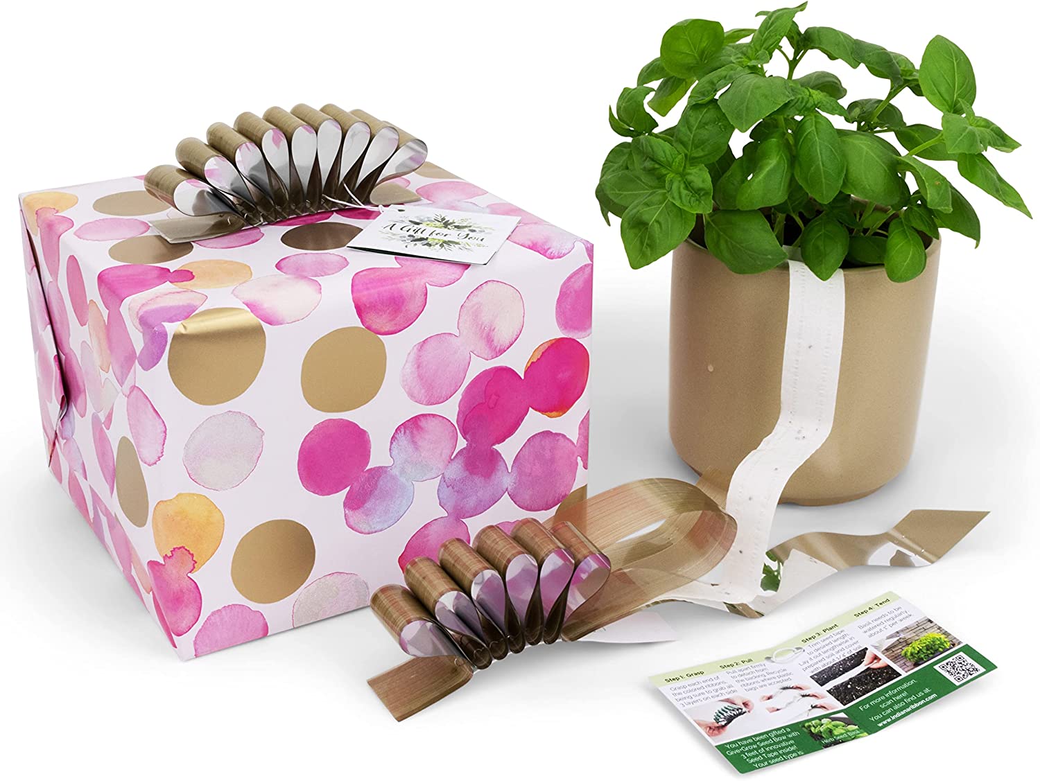 Give+Grow Plantable Wave Gift Bow (one bow)