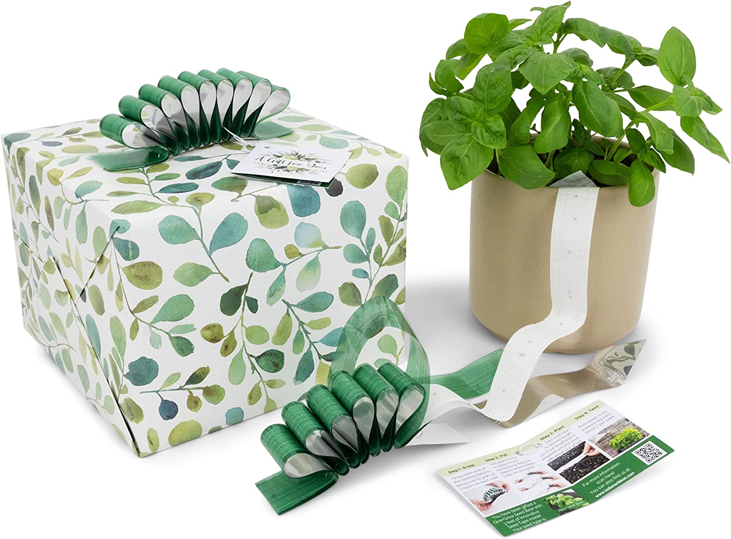 Give+Grow Plantable Wave Gift Bow (one bow)