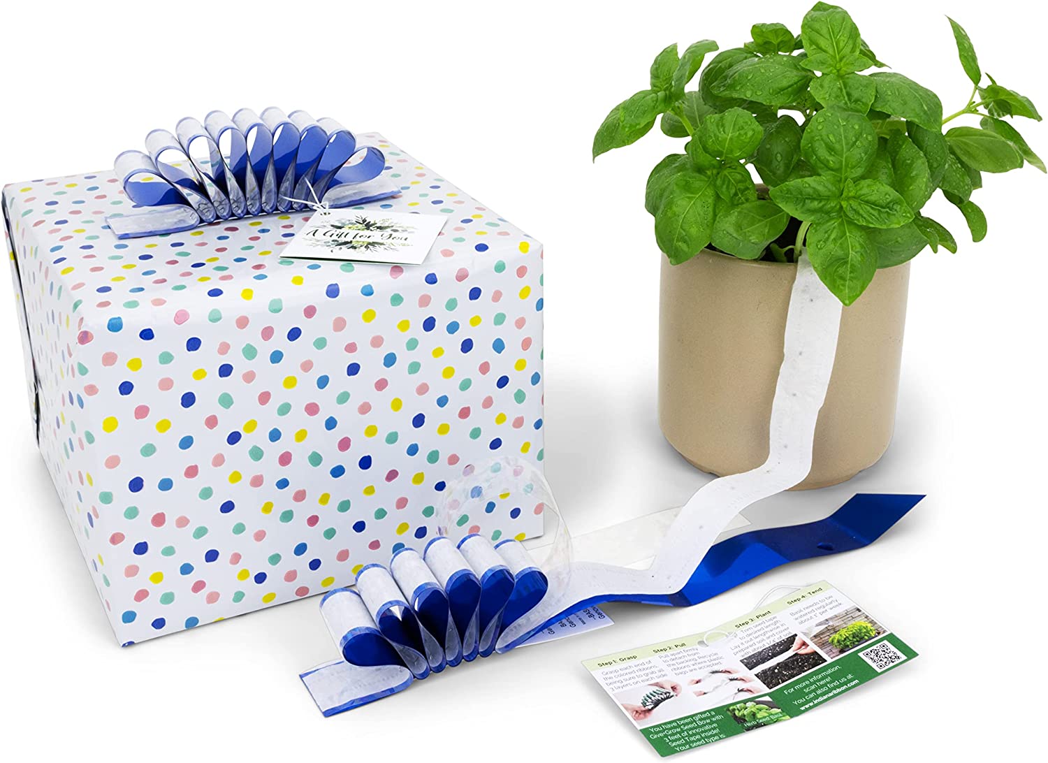 Give+Grow Plantable Wave Gift Bow (one bow)