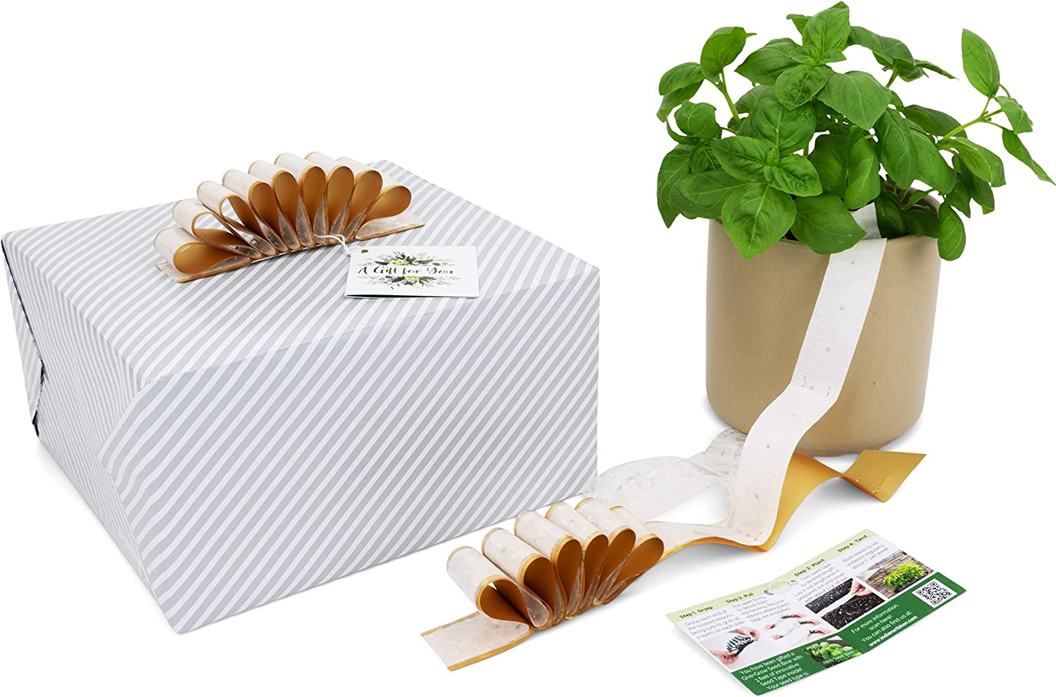 Give+Grow Plantable Wave Gift Bow (one bow)