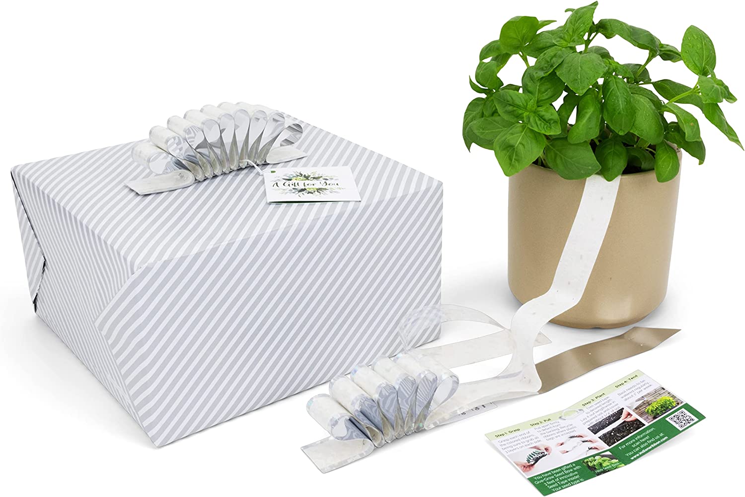 Give+Grow Plantable Wave Gift Bow (one bow)