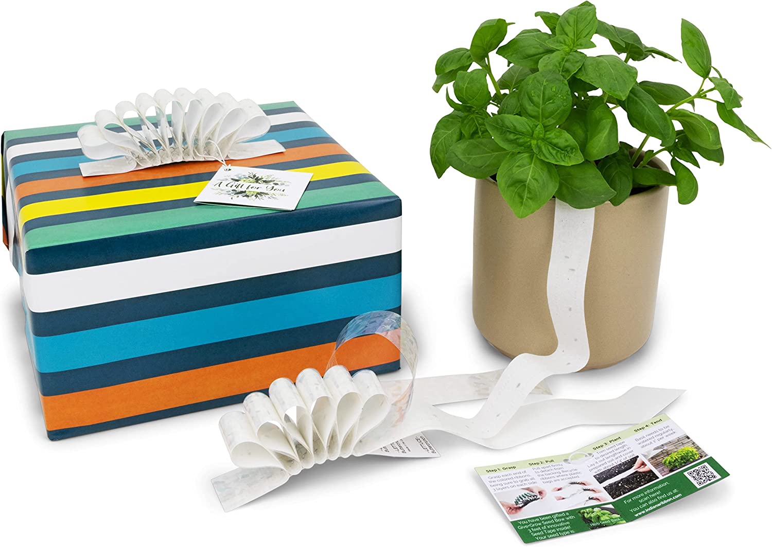 Give+Grow Plantable Wave Gift Bow (one bow)