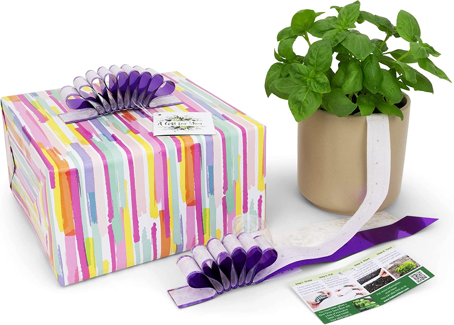 Give+Grow Plantable Wave Gift Bow (one bow)