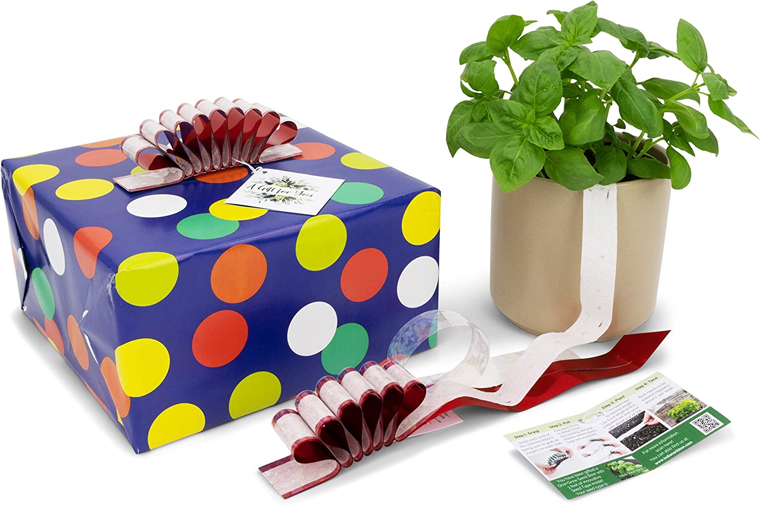 Give+Grow Plantable Wave Gift Bow (one bow)