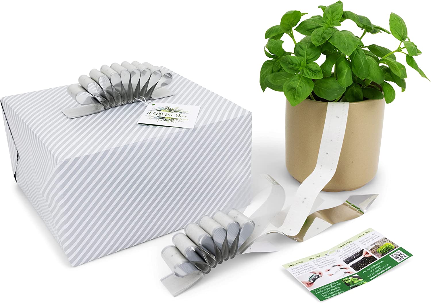 Give+Grow Plantable Wave Gift Bow (one bow)