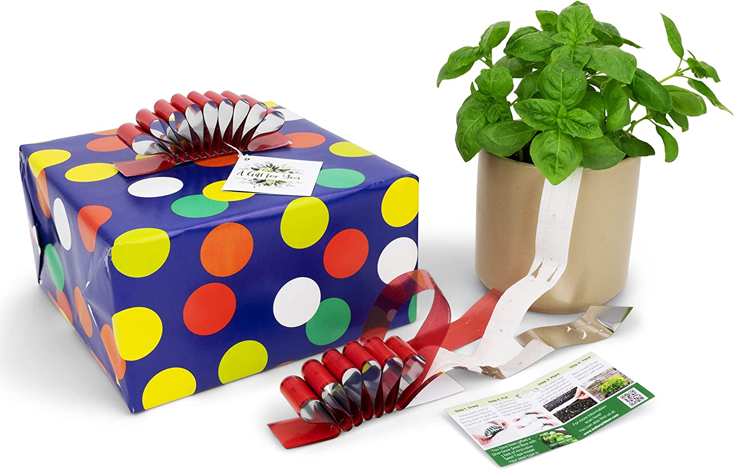 Give+Grow Plantable Wave Gift Bow (one bow)