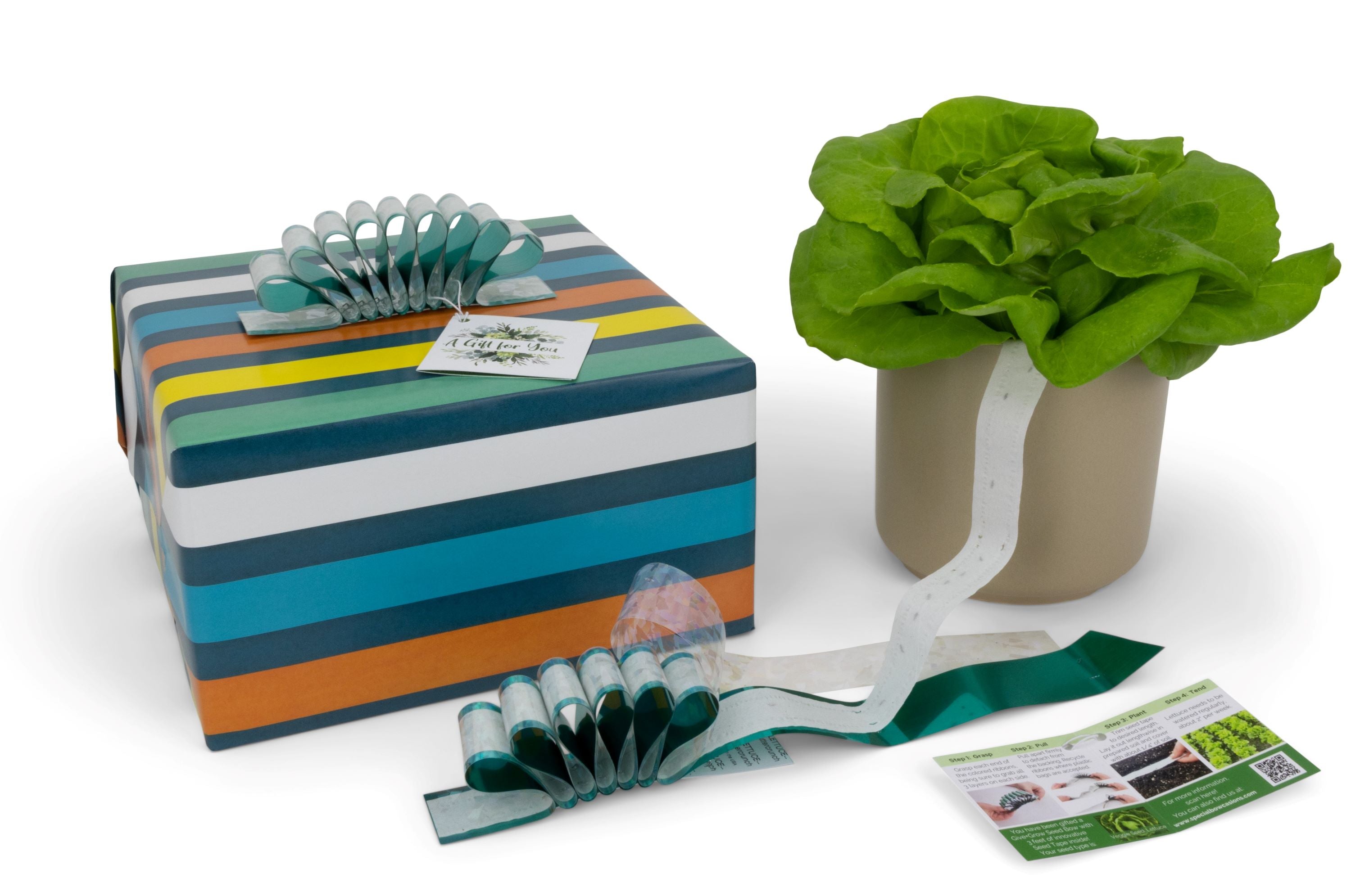 Give+Grow Plantable Wave Gift Bow (one bow)