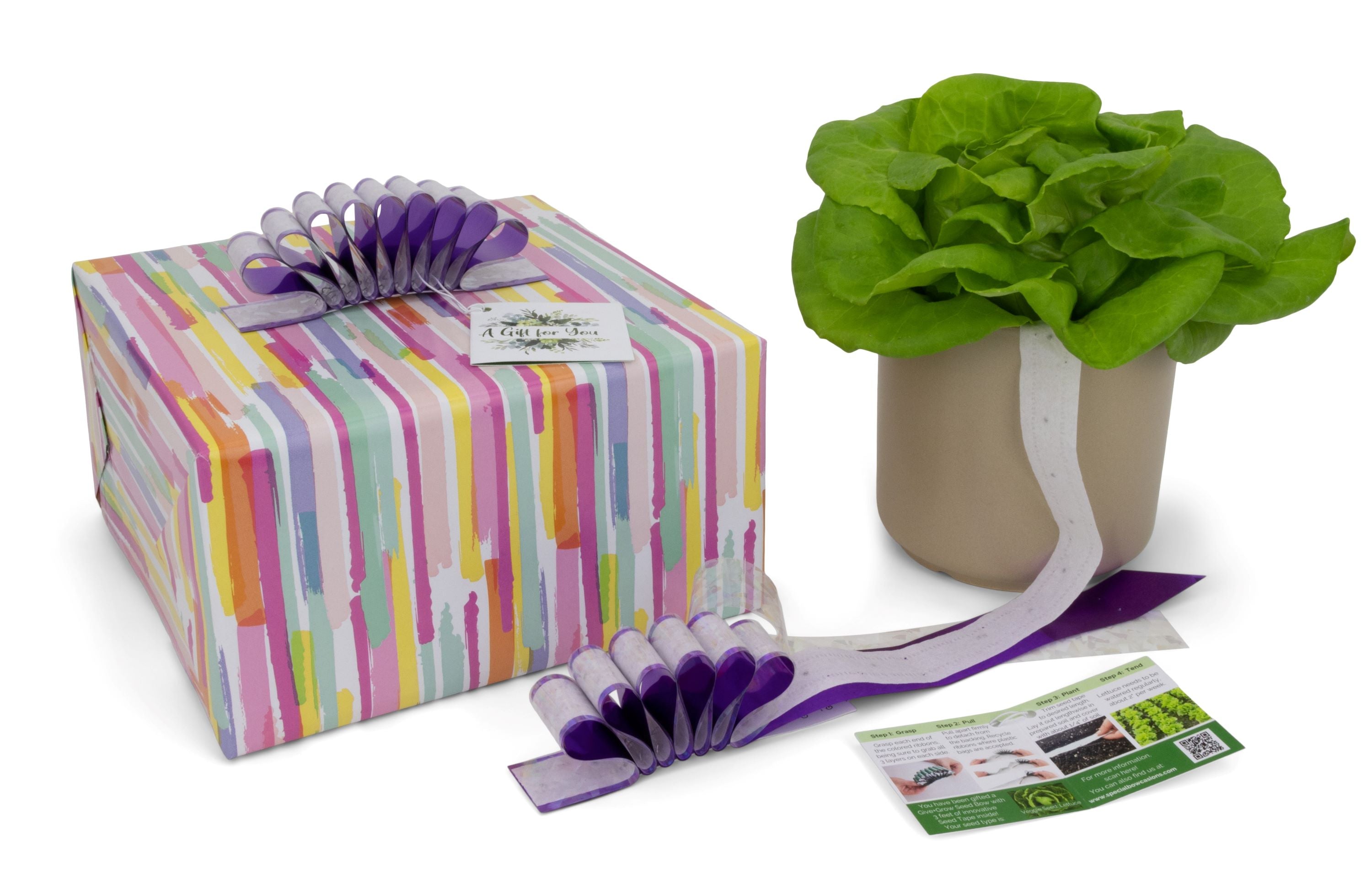 Give+Grow Plantable Wave Gift Bow (one bow)