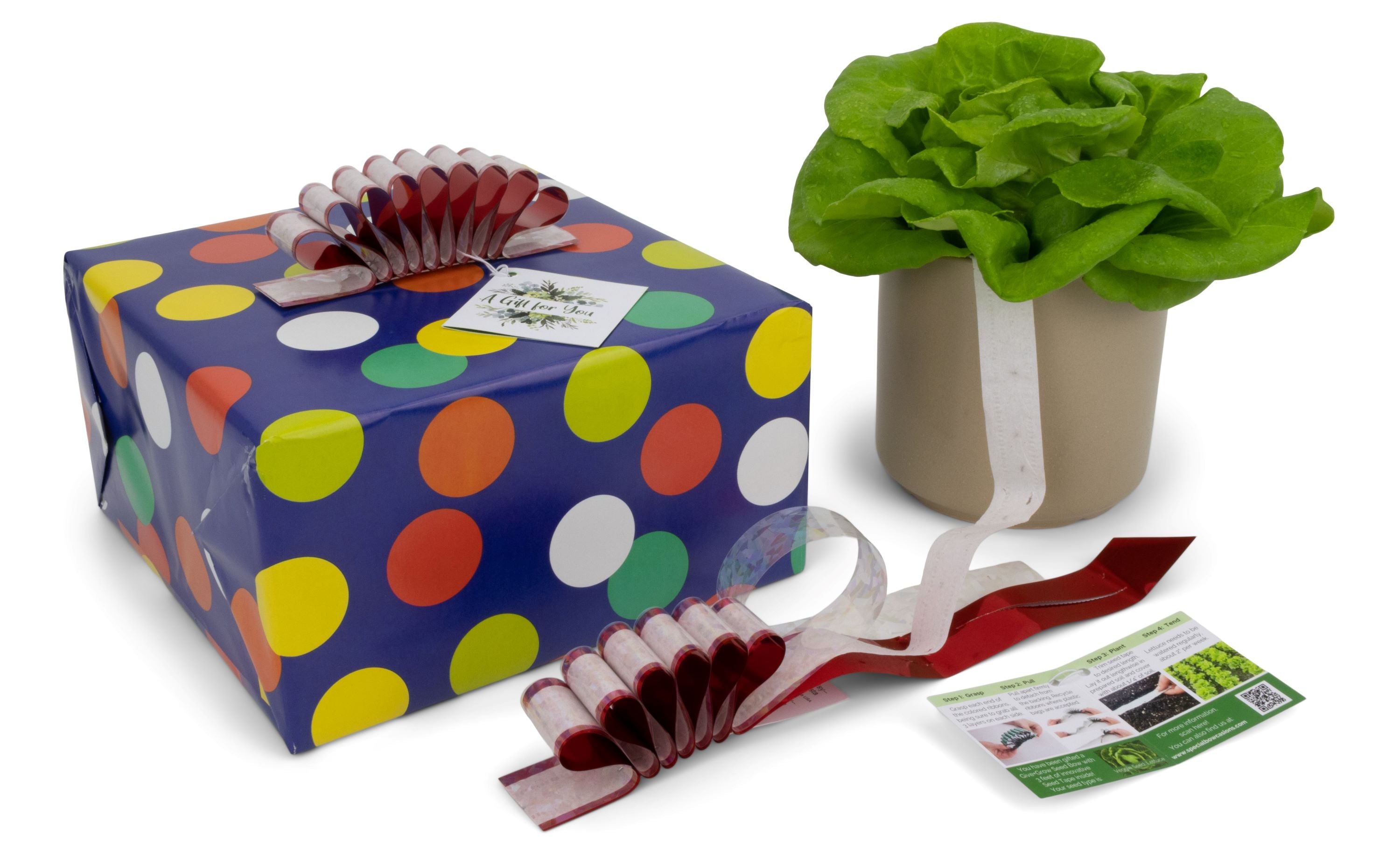 Give+Grow Plantable Wave Gift Bow (one bow)