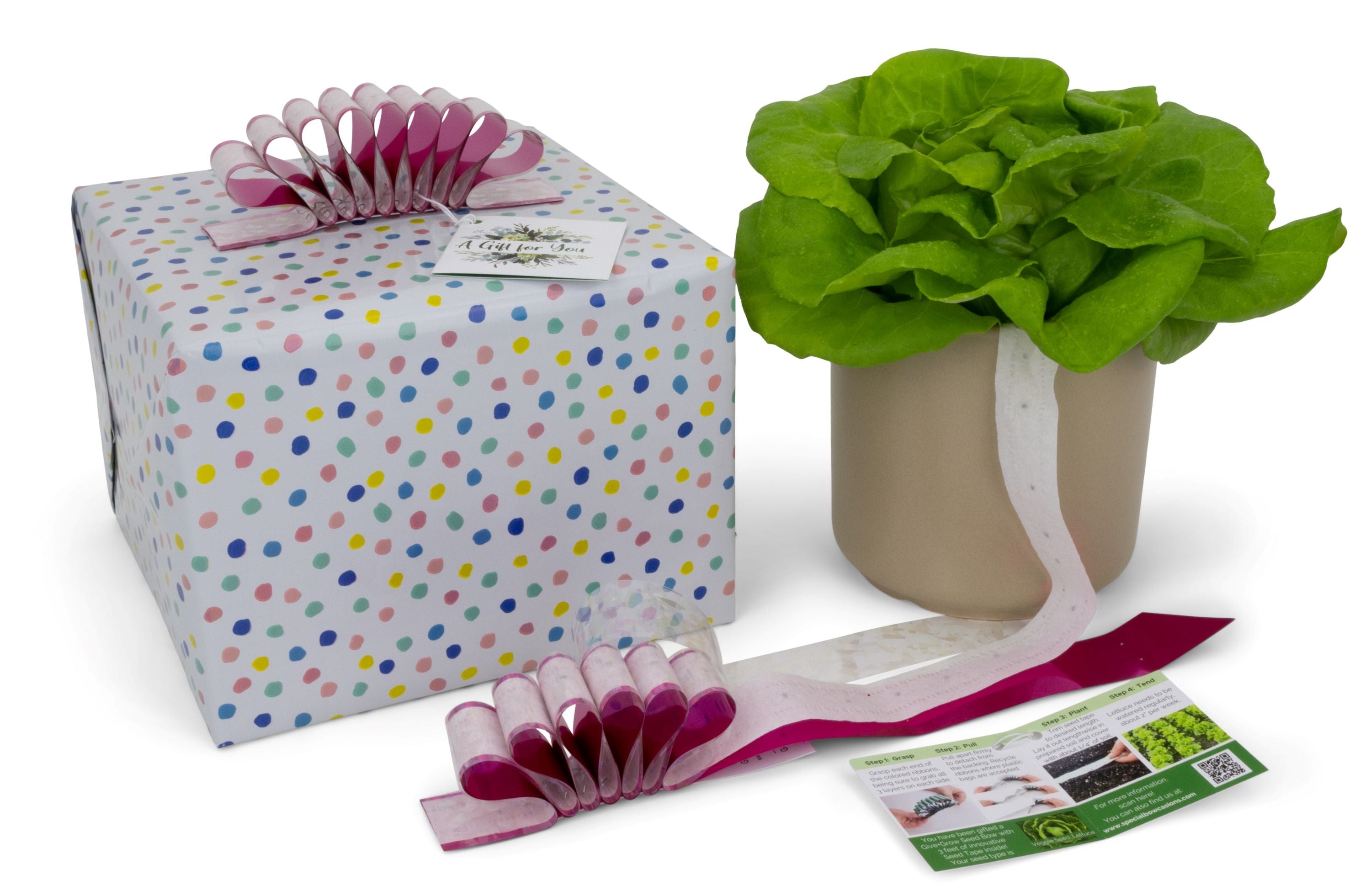 Give+Grow Plantable Wave Gift Bow (one bow)