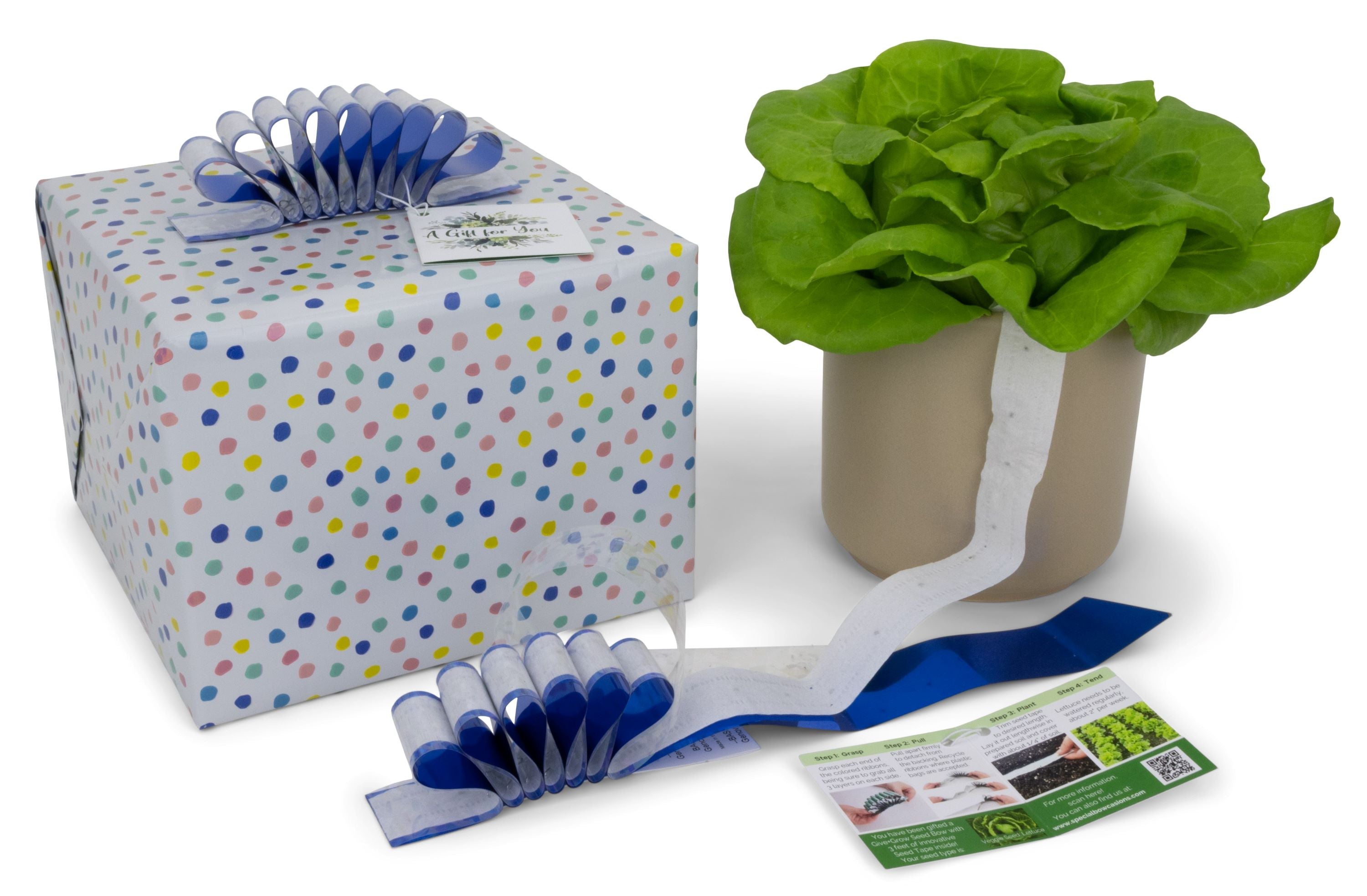 Give+Grow Plantable Wave Gift Bow (one bow)