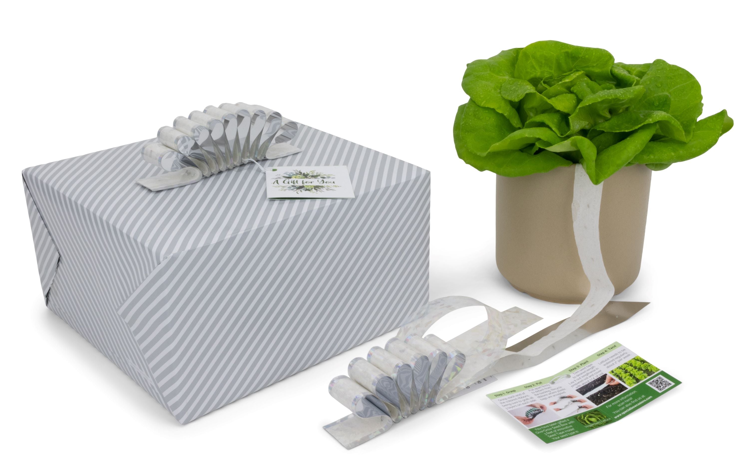 Give+Grow Plantable Wave Gift Bow (one bow)