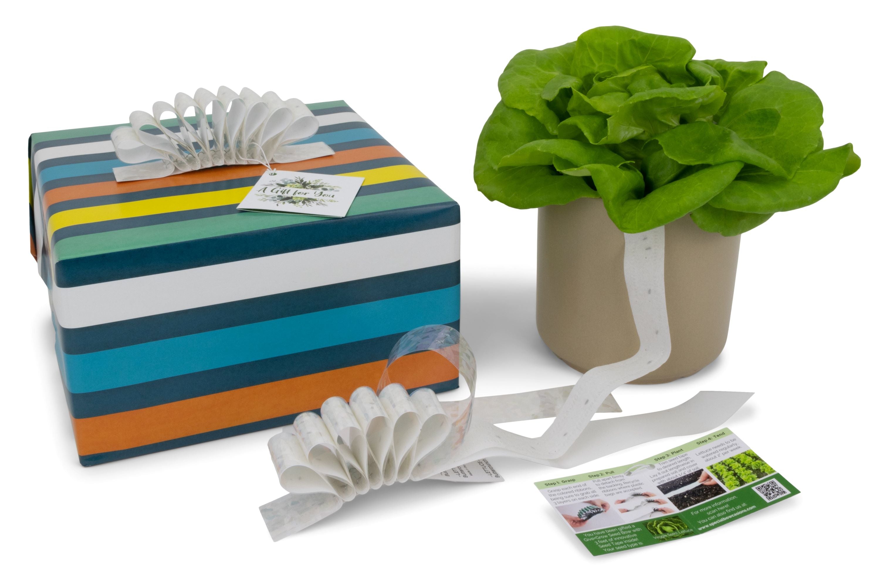 Give+Grow Plantable Wave Gift Bow (one bow)